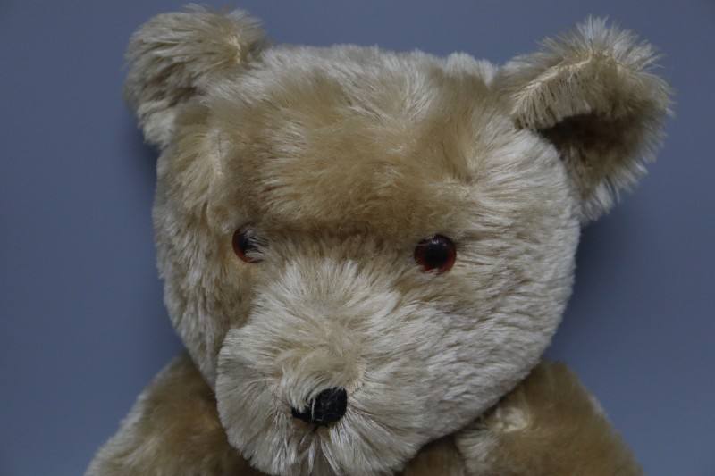 A Chiltern teddy bear